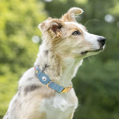 AirTag Dog Collar for Small Medium Large Breed - Adjustable Cute Pattern Dog Collar with Airtag Holder - Soft Leather Tracker GPS Apple Air Tag Pet Collars (Medium, 14"-18" Neck Fit, Floral)