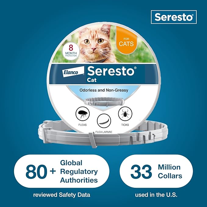 Seresto Cat Vet-Recommended Flea &amp; Tick Treatment &amp; Prevention Collar for Cats | 8 Months Protection