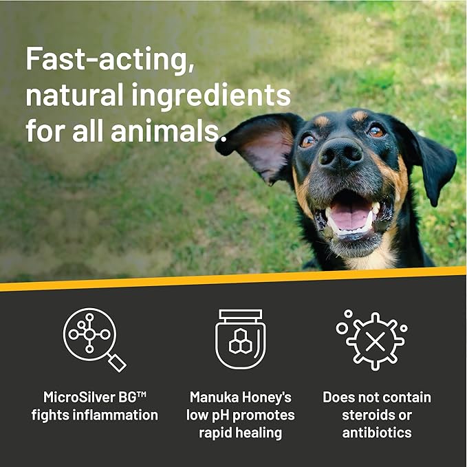 Absorbine Silver Honey Rapid Ear Care Vet Strength Ear Rinse, 4oz, Manuka Honey &amp; MicroSilver BG, Safe for Dogs &amp; Cats