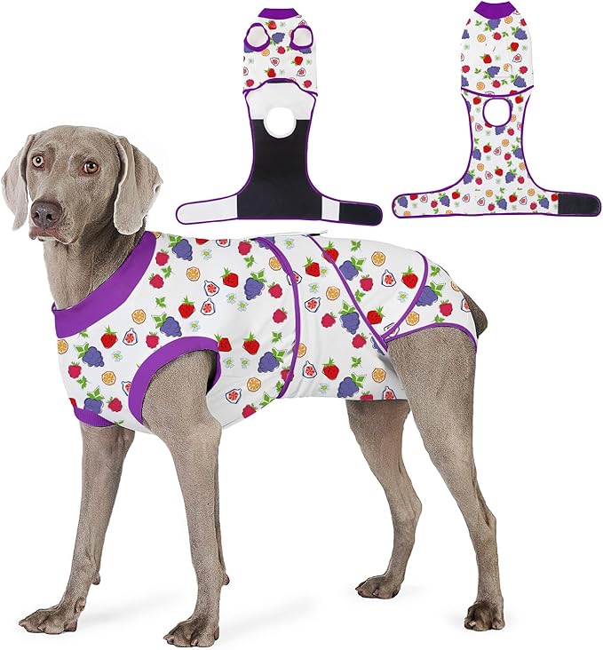 Recovery Suit for Dogs After Surgery, Professional Dog Surgical Suit for Female Spay, Male Neuter, E-Collar &amp; Cone Alternative Dog Onesie for Abdominal Wounds Skin Disease, Purple, XL