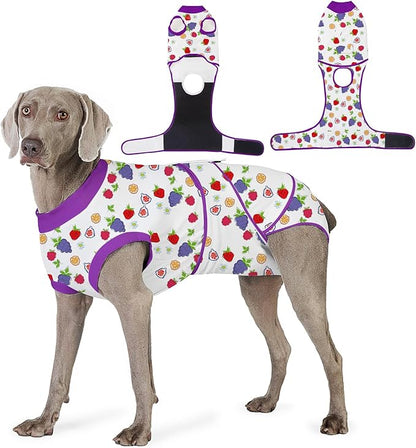 Recovery Suit for Dogs After Surgery, Professional Dog Surgical Suit for Female Spay, Male Neuter, E-Collar &amp; Cone Alternative Dog Onesie for Abdominal Wounds Skin Disease, Purple, XXL
