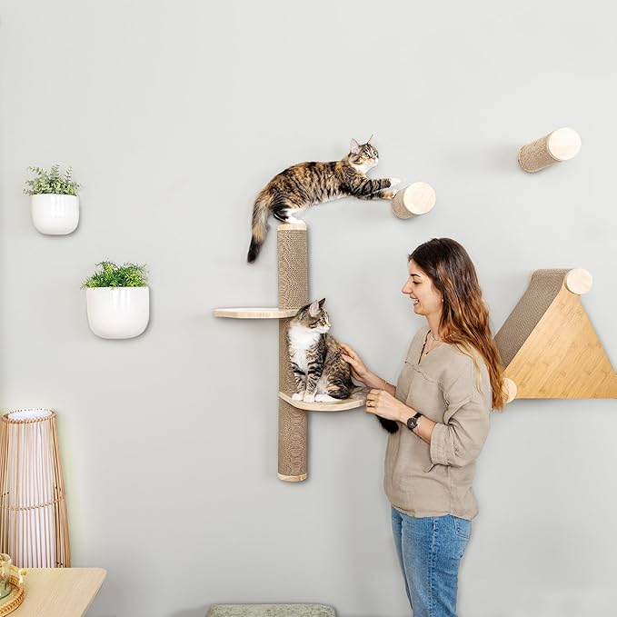 Cat Climbing Wall System – Modern Floating Shelves &amp; Perches for Cats - Sunrise Steps | Ascentials by FurHaven