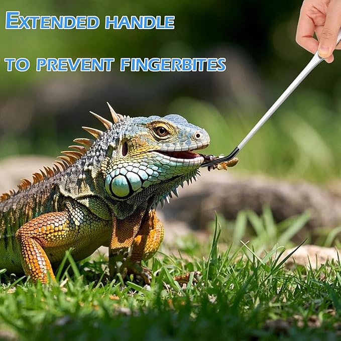 5 Pcs Reptile Feeding Tools Set with Silicone Tips - Extra Long Straight&amp;Curved Tongs, Spoons, Scissors - Stainless Steel Terrarium Feeder Kit for Bearded Dragons, Lizards, Snake, Spiders, Aquarium