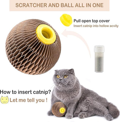 AREIIA Catnip Ball Toy for Cats Catnip Refillable Scratcher Ball Kitty&