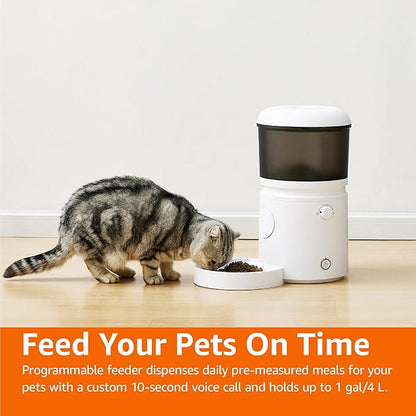 Amazon Basics Automatic Feeder for Cats and Dogs with Speed &amp; Portion Control, 4L Capacity, White
