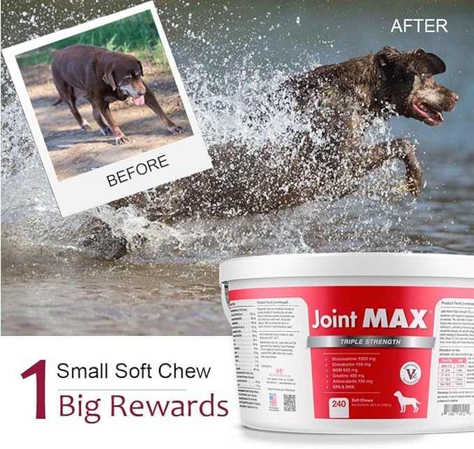 TS Joint Supplement Vet Formulated Pain &amp; Inflammation Relief Treats Hip Dysplasia &amp; Arthritis.Glucosamine, Chondroitin, Turmeric, MSM, HA, Creatine, Omega 3 EPA+DHA. All Dogs 240 Soft Chews