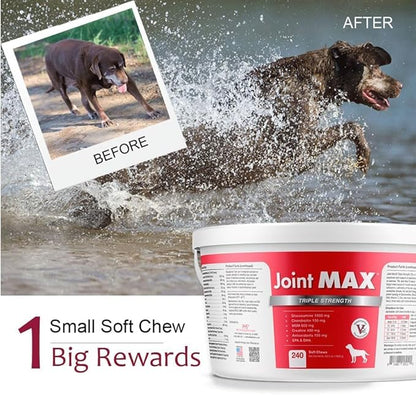 TS Joint Supplement Vet Formulated Pain &amp; Inflammation Relief Treats Hip Dysplasia &amp; Arthritis.Glucosamine, Chondroitin, Turmeric, MSM, HA, Creatine, Omega 3 EPA+DHA. All Dogs 240 Soft Chews
