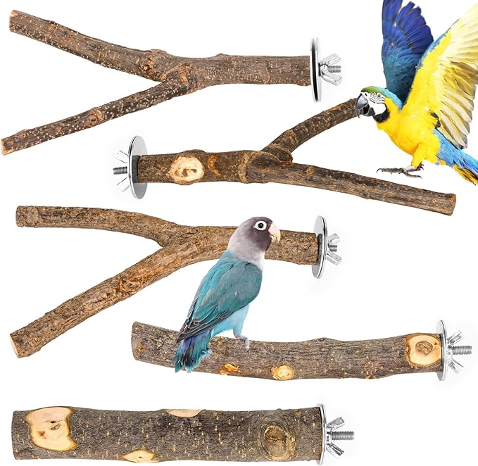 Natural Wood Bird Perches for Cage, Parrot Perch Stand &amp; Platform, Bird Cage Accessories for Parakeets, Cockatiels, Conures, Lovebirds (Brown, Essential Perch Bundle - 5PCS)