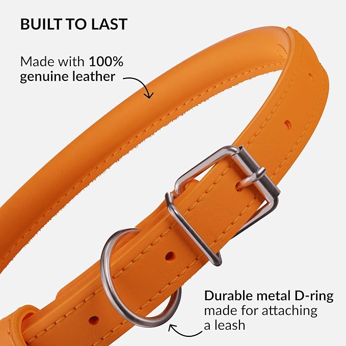 CollarDirect Rolled Leather Dog Collar, Soft Padded Round Puppy Collar, Handmade Genuine Leather Collar Dog Small Large Cat Collars 13 Colors (11-14 Inch, Orange Smooth)