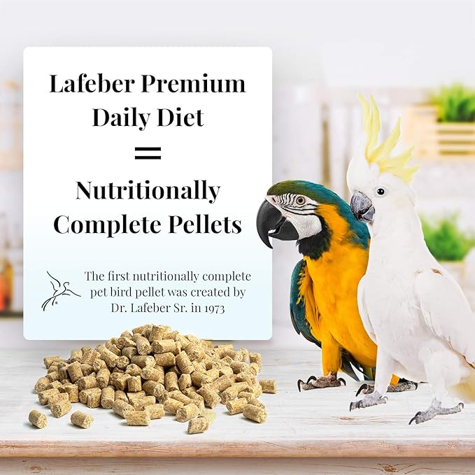 LAFEBER&