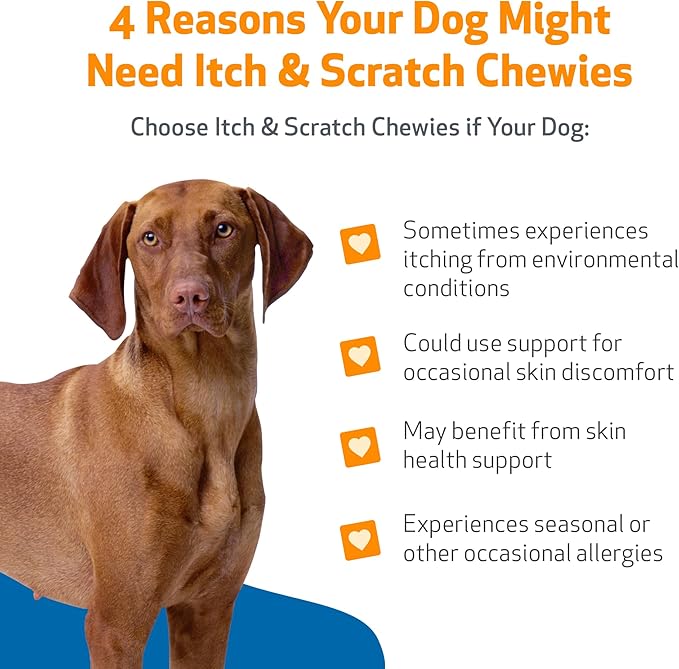 Pet Wellbeing Itch &amp; Scratch Chewies for Dogs - Supports Healthy Itch Response to Occasional Skin Allergies, Skin Health, Chinese Pearl Barley, Phellodendron - Veterinarian-Formulated 90 Soft Chews