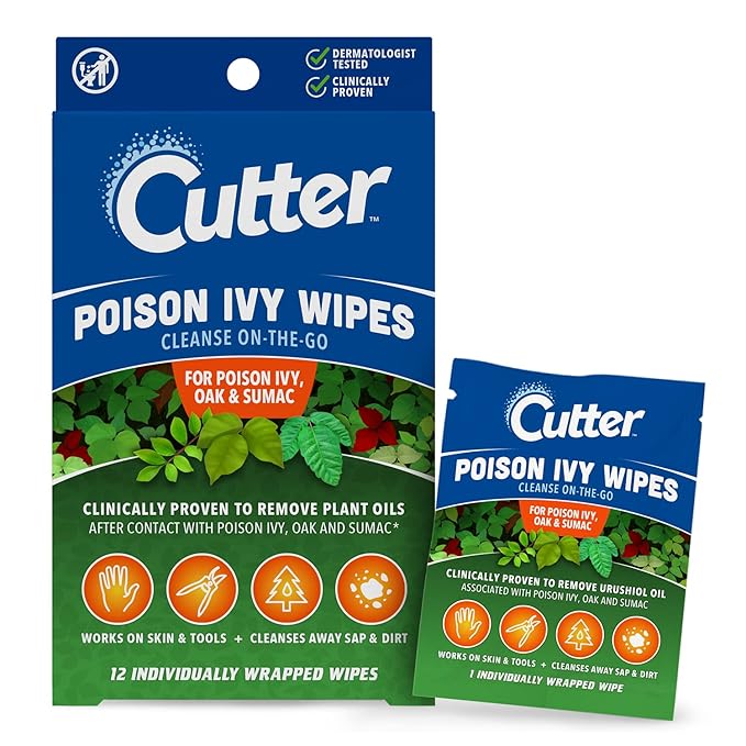 Poison Ivy Wipes, On-the-Go Cleansing for Poison Ivy, Oak &amp; Sumac, 12 Wipes