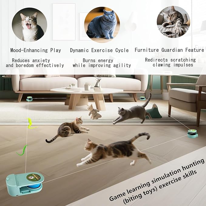 Wireless Remote Control Interactive Cat Toy for Indoor Cats, Self-Moving Worm Plush Mouse Chase Toy, Automatic Prey Simulation with Adjustable Speed, Durable &amp; Rechargeable Kitten Exercise Toy