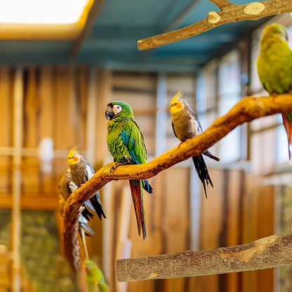 Natural Wood Bird Perches for Cage, Parrot Perch Stand &amp; Platform, Bird Cage Accessories for Parakeets, Cockatiels, Conures, Lovebirds (Brown, Core Perch &amp; Platform - 8PCS)