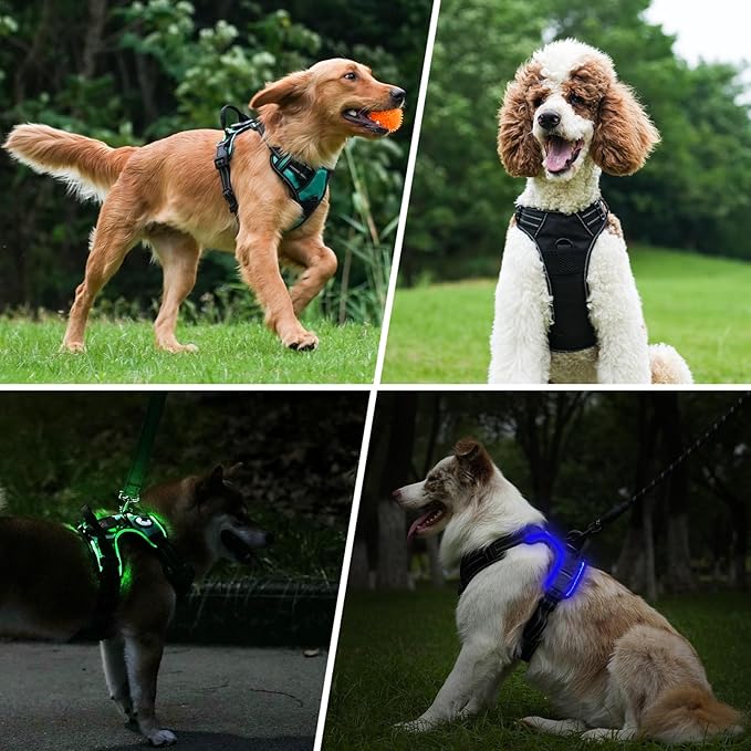 Taglory Light Up Dog Harness, Rechargeable No Pull Dog Vest with 3 Lightning Modes, Reflective Dog Harness with 2 Leash Clips &amp; 4 Adjustable Slide Strips for Medium Dogs, Hotpink-Hotpink, M