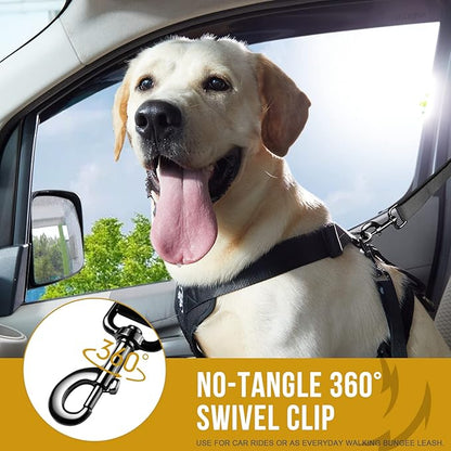 OneTigris Dog Safety Vest Harness, REX Car Use Dog Harness Adjustable Pet Harness with Leash for Medium Large Dogs(Black,M)