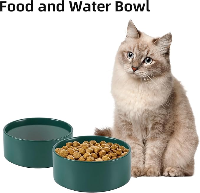 Ceramic 5.1inch Set of 2 Dog and Cat Bowls, Food and Water Feeder for Small Breed Dogs, Kitty, Cats, 2pcs Dog &amp; Cat Dishes(2 Bowls, Green)
