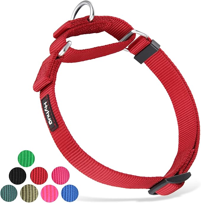 Hyhug Martingale Buckle - Free Dog Collar: Non - Slip Heavy - Duty Nylon, Escape - Proof, Colorfast &amp; Adjustable for Large, Medium &amp; Small Dog Breeds(Medium,Red)