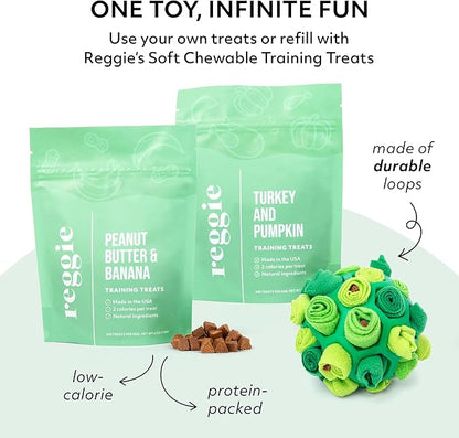 Reggie Forager Ball for Dogs | Mealtime Enrichment Toy | Reduces Boredom, Hyperactivity, Stress | Vet-Approved &amp; Ideal for All Ages, Breeds, and Sizes