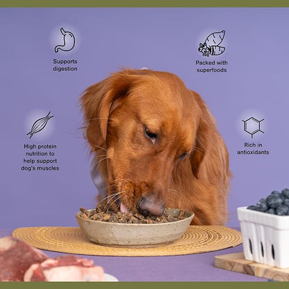 Superfood Complete, Air-Dried Adult Dog Food - High Protein, Zero Fillers, Superfood Nutrition by Katherine Heigl (24 oz, Beef &amp; Bison Formula)