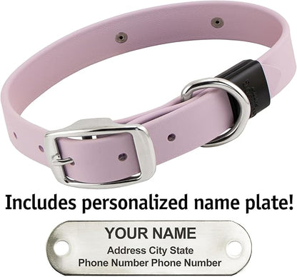 Biothane Custom Dog Collar – Waterproof, Stink-Proof Personalized Collar with Name &amp; Phone Number – Durable, Many Sizes and Colors – Assembled in USA (Lilac Purple)