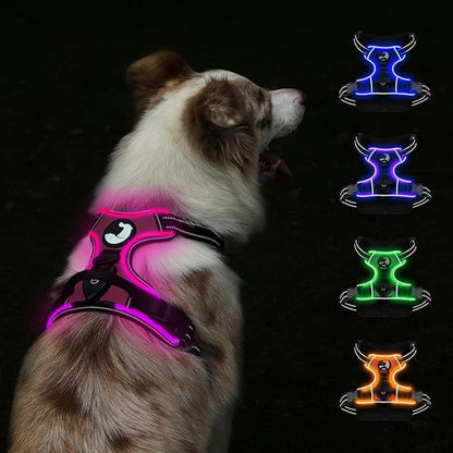 Taglory Light Up Dog Harness, Rechargeable No Pull Dog Vest with 3 Lightning Modes, Reflective Dog Harness with 2 Leash Clips &amp; 4 Adjustable Slide Strips for Medium Dogs, Hotpink-Hotpink, M