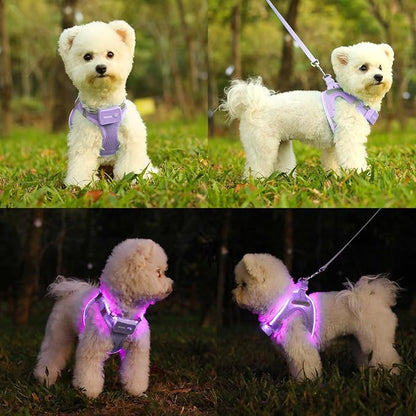 Light Up Dog Harness,Rechargeable LED Dog Harness for Small Medium Large Dogs,Reflective Lighted Safety Vest for Night Walking &amp; Camping,Lightweight &amp; Adjustable,Lavender Purple,L