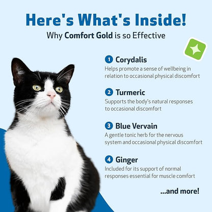 Pet Wellbeing Comfort Gold for Cats - Supports Feline Physical Comfort, Healthy Circulation, Corydalis, Turmeric - Veterinarian-Formulated Herbal Supplement 2 oz (59 ml)