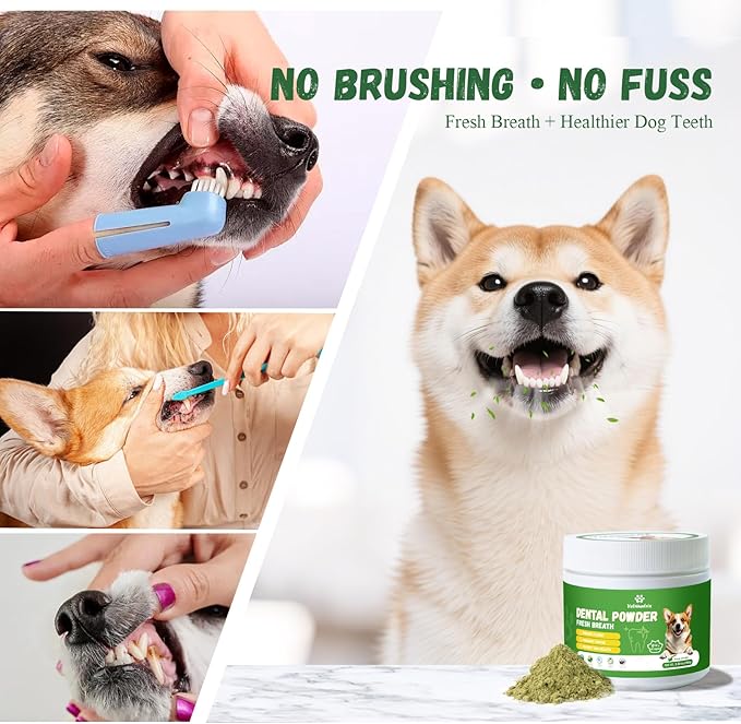 Dog Dental Care Powder - Plaque &amp; Tartar Control with Natural Enzymes, Teeth Cleaning Powder for Dogs with Probiotic, Bad Breath Treatment for Small Medium Large Dogs