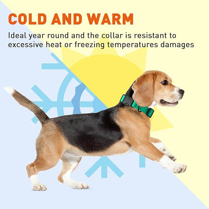 Dogline Biothane Waterproof Dog Collar with Quick Release Buckle Strong Coated Nylon Webbing with Odor- Proof for Easy Care Easy to Clean Fits Small Medium or Large Dogs, Teal 3/4" W 12-19" L