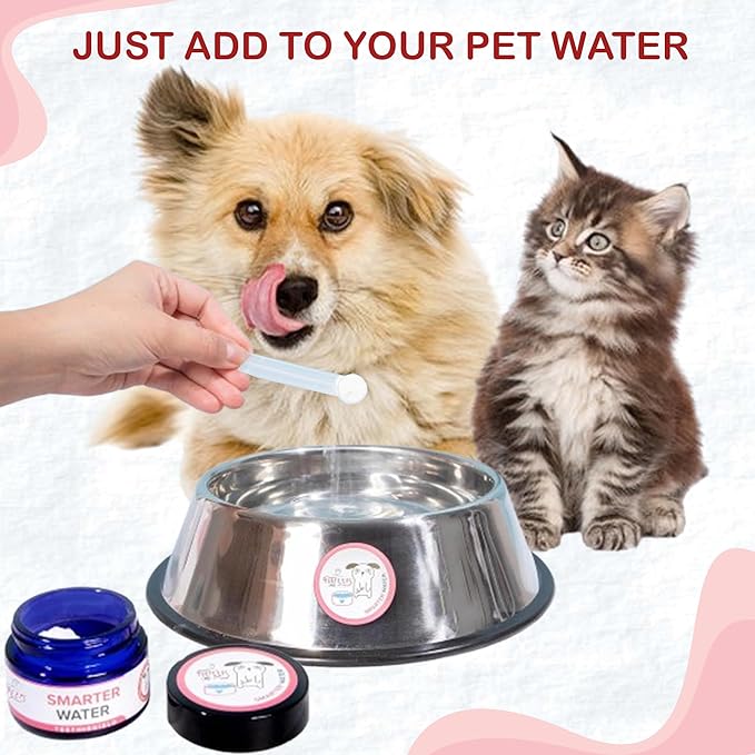Dog Breath Freshener Powder for Water – Cat &amp; Dog Dental Care Water Additive, Natural Plaque &amp; Tartar Remover, Bad Breath Eliminator, Easy No-Brush Oral Hygiene – 45 Servings, Vet Recommended