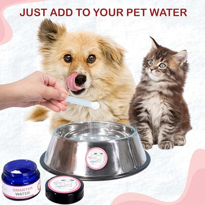 Dog Breath Freshener Powder for Water – Cat &amp; Dog Dental Care Water Additive, Natural Plaque &amp; Tartar Remover, Bad Breath Eliminator, Easy No-Brush Oral Hygiene – 45 Servings, Vet Recommended