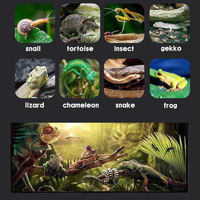 Micro Habitat Terrarium Kit (4pc Set) - Acrylic Reptile &amp; Spider Enclosure (4.7 * 4.7 * 8 Inches)