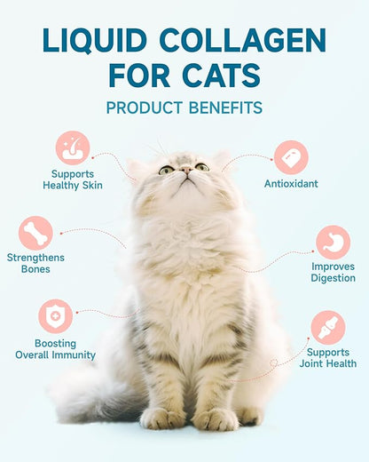 Collagen for Cats - Hip and Joint Supplement, Digestive &amp; Immunity Support, Skin &amp; Coat Health, Liquid Collagen for Cats with MSM, Glucosamine, Coconut Oil, Vitamin E, Roast Chicken Flavored, 60ml