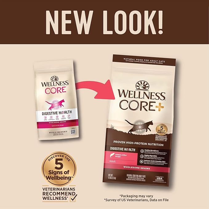 Wellness CORE+ Adult Dry Cat Food for Indoor and Outdoor Cats, Wholesome Grains, Natural, Digestive Health Salmon &amp; Rice (5 Pound Bag)