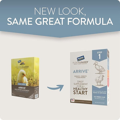 Arrive, Daily Probiotic &amp; Prebiotic Poultry Supplement for Young Chickens 0-8 Weeks Old, 8 oz