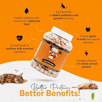 Freeze-Dried Salmon Treats for Cats &amp; Dogs – 100% Wild Caught, Single Ingredient, High-Protein, Healthy Snack – No Additives or Preservatives – 5.3oz - Inspected &amp; Tested in USA