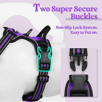 rabbitgoo Dog Harness, No-Pull Pet Harness with 2 Leash Clips, Adjustable Soft Padded Dog Vest, Reflective No-Choke Pet Oxford Vest with Easy Control Handle for Large Dogs, Purple, L