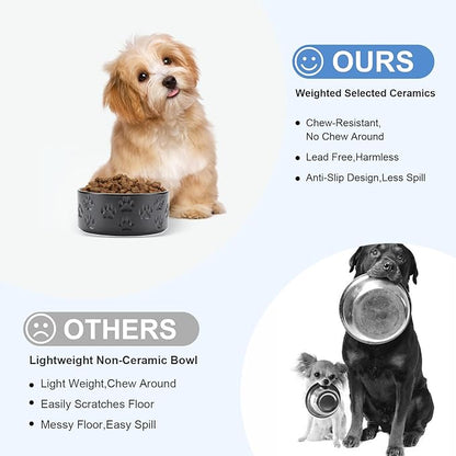 SPUNKYJUNKY Ceramic Dog and Cat Bowls 2 Pack, 5.1&