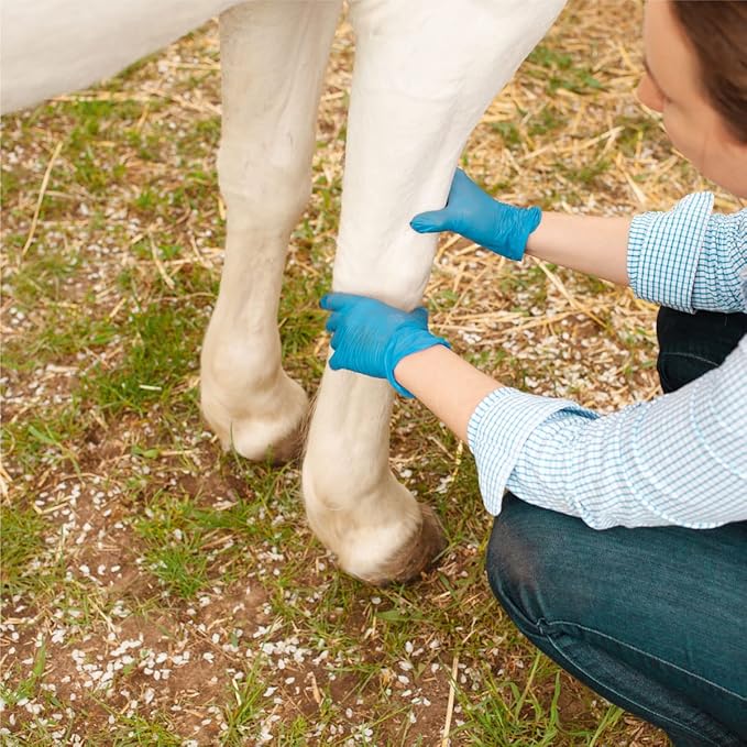 Veterinary Liniment Gel for Horses | Sore Muscle Rub | Soothing Warmth, Made with Plant-Based Ingredients | New &amp; Improved Formula