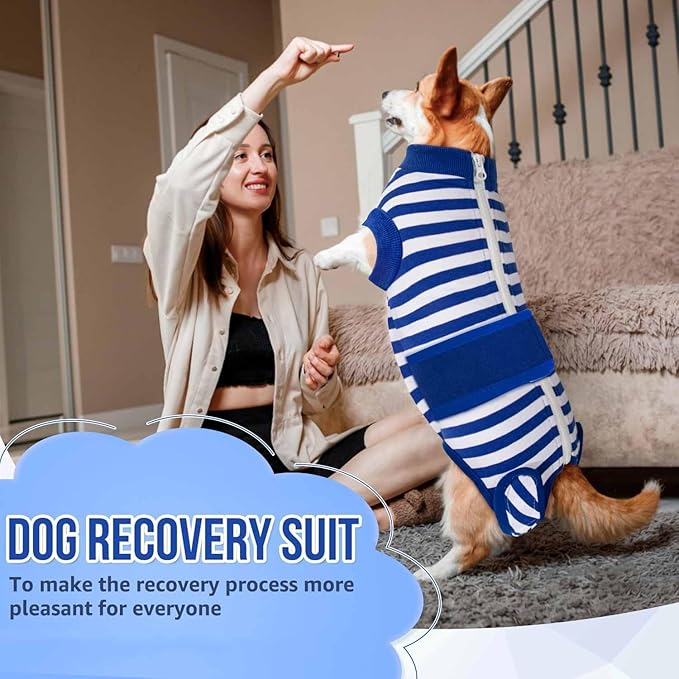 Lukovee Recovery Suit for Dogs - Zipper Onesie for Female &amp; Male Dogs, Abdominal Wounds Cone E-Collar Alternative, Prevent Licking - Spay Recovery Suit (Small, Blue &amp; White)