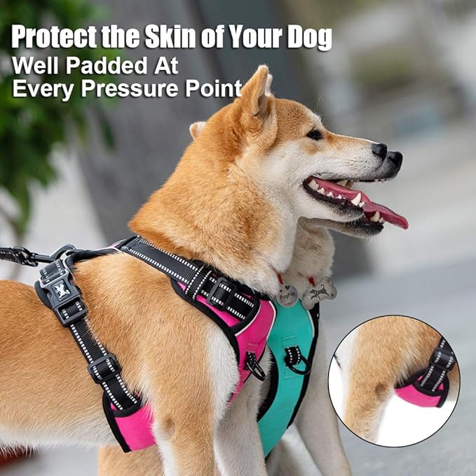 PoyPet No Pull Dog Harness, Reflective Comfortable Vest Harness with Front &amp; Back 2 Leash Attachments and Easy Control Handle Adjustable Soft Padded Pet Vest for Small to Large Dogs (Mint Blue,S)