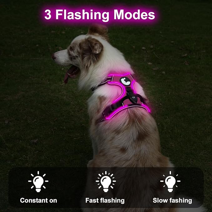 Taglory Light Up Dog Harness, Rechargeable No Pull Dog Vest with 3 Lightning Modes, Reflective Dog Harness with 2 Leash Clips &amp; 4 Adjustable Slide Strips for Large Dogs, Hotpink-Hotpink, L