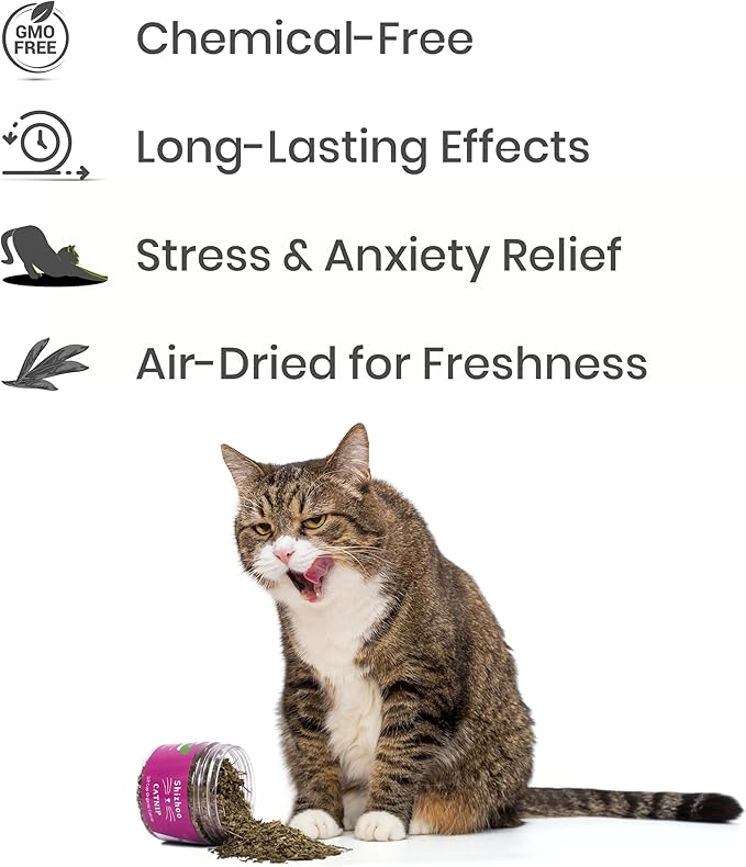 Catnip for Cats with Leaves and Flowers 100% Natural and Organic Catnip Premium Cat Nip for Cats &amp; Kittens Used as a Snack or Refillable Catnip Treats for Cats (1/2 Cup, 2 Ounces)