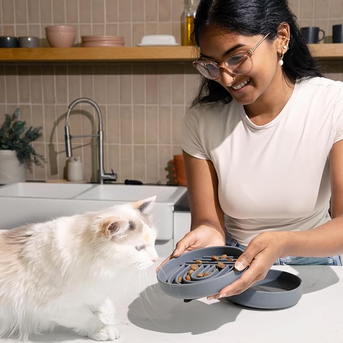 The Slowdown Bowl Silicone Slow Feeder for Cats &amp; Kittens, Slow Eating Mealtime Solution with Modern Lick Mat Design, Reduces Gulping, Fits 1 Cup 6” Across x 1.25” Tall, Small-Tan