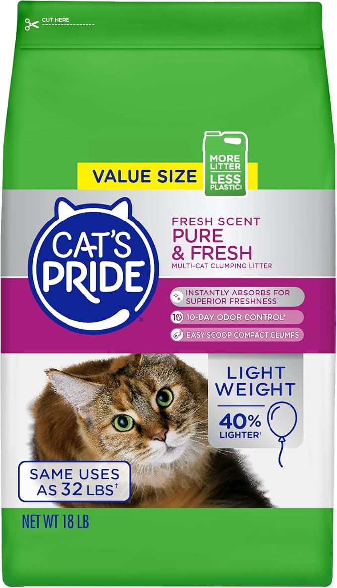 Cat&