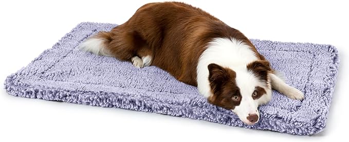 Stoutwool Indestructible Dog Bed - Fluffy Chew Proof Dog Crate Pad - Tough Kennel Pad for Aggressive Chewers - Washable, Ideal for Large Breeds &amp; Fits 36-Inch Crate - 35"x22", Jacaranda