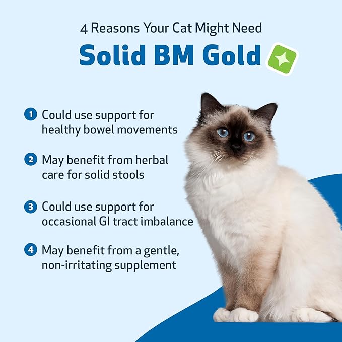 Pet Wellbeing BM Tone-Up Gold for Dogs &amp; Cats - Supports Healthy Digestive Function, Solid Stools, Normal Bowel Movements, Bayberry - Veterinarian-Formulated Herbal Supplement 4 oz (118 ml)