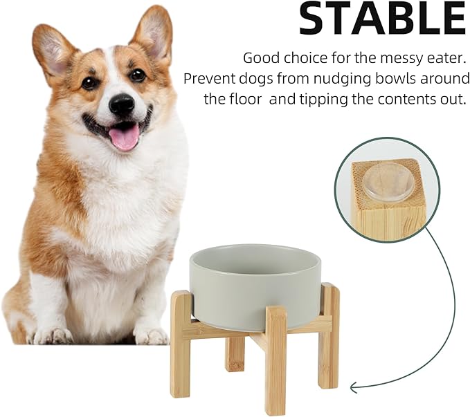 Ceramic Raised Dog and Cat Bowl Set, 2 Heights Elevated Stand, Food and Water Bowl for Small Breed Dogs, Weighted Dog Dishes, Pet Bowl(6.1&