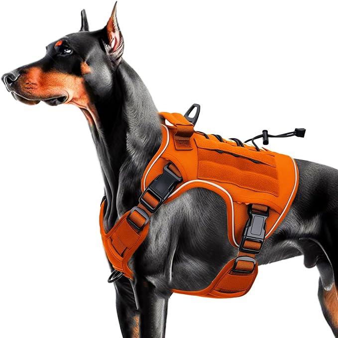 Heavy-Duty Tactical Dog Harness for Large Dogs, No Pull Adjustable Reflective Pet Vest with Molle System, K9 Military-Grade Control for Service Training, Outdoor &amp; 10+ Breeds, Orange, Large